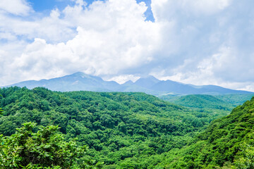 Obraz premium 山梨県北杜市八ヶ岳高原大橋の景色