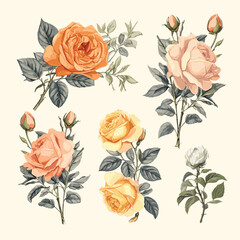 Vintage rose flowers floral pastel