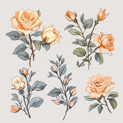 Vintage rose flowers floral pastel
