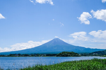山梨県河口湖と湖畔のラベンダー畑と富士山