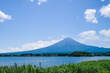 山梨県河口湖と湖畔のラベンダー畑と富士山