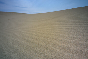 Naklejka premium 鳥取砂丘