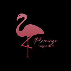 Flamingo logo vector