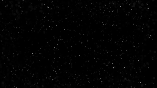 snowfall effect - animation of soft snow fall for your works, isolated - loop video