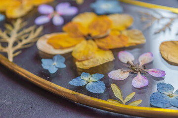 Obraz na płótnie Canvas Beautiful pressed flowers composition closeup