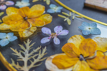 Beautiful pressed flowers composition closeup