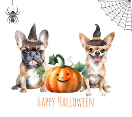 Watercolor illustration of a Halloween chihuahua and french bulldog wearing witch hat with pumpkin. Pet lovers theme Halloween card. AI generated.