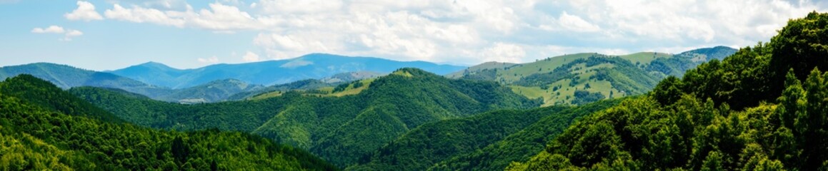 Fototapeta na wymiar panorama over green hills, Calugaru hills, Cindrel mountains, Sibiu county, Romania