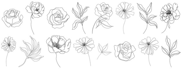 Abstract flowers isolated illustration. Wildflowers for background. Simple minimalist art set continuous line drawing. - obrazy, fototapety, plakaty