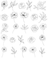 Abstract flowers isolated illustration. Wildflowers for background. Simple minimalist art set continuous line drawing.