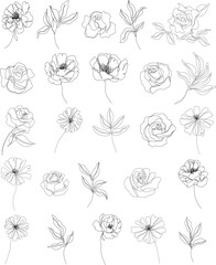 Abstract flowers isolated illustration. Wildflowers for background. Simple minimalist art set continuous line drawing.
