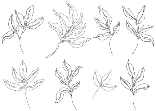 Rose leaves isolated on white. Hand drawn line abstract illustration.

