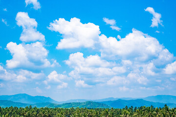 Tropical Serenity: Panoramic Landscape of Asia with Coconut Palm Trees and Mountain Ranges against a Blue Summer Sky