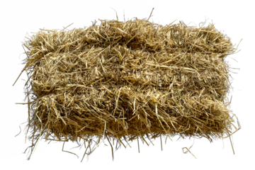 Straw heap isolated on transparent background.