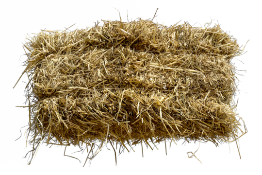 Straw heap isolated on transparent background.