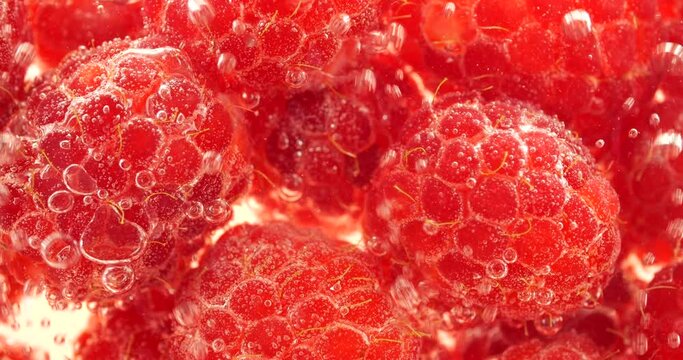 Red raspberry under water in air bubbles. Rubus idaeus.