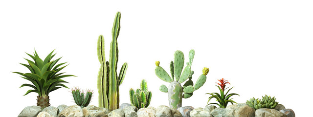 Isolate cactus plants row on rocks foreground 3d rendering png © Krit