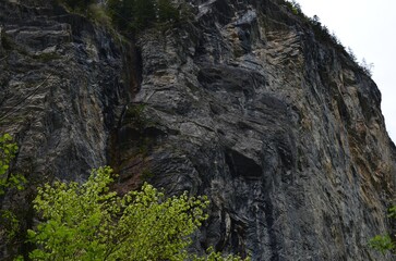View of high mountain and green tree