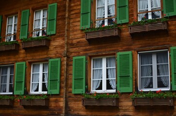 Fototapeta na wymiar Exterior of building with beautiful flowers growing in holders under windows