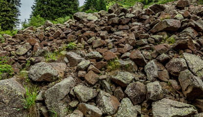 stack of firewood