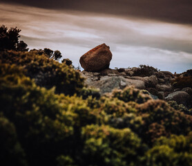 rocks on the beach