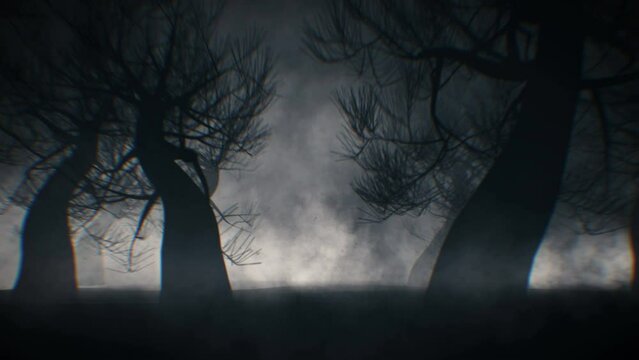 Halloween forest background with mysterious forest and fog for horror or halloween projects