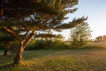 Evening mood on the beach of Ishoj, south of Copenhagen, denmark