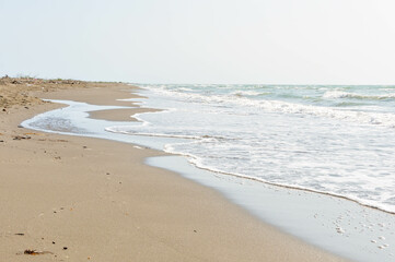 beach in the morning