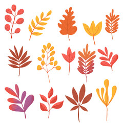 Autumn leaves collection. Vector illustration.