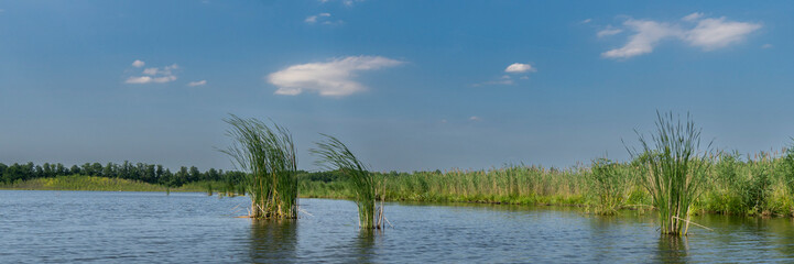 Der Köhtener See im Unterspreewald