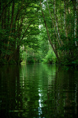 Mit dem Kajak unterwegs im Unterspreewald 5