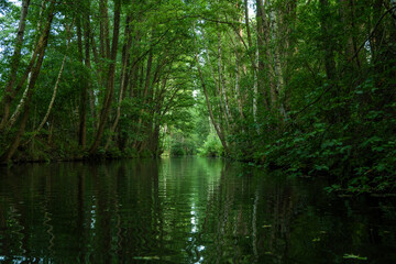 Obraz premium Mit dem Kajak unterwegs im Unterspreewald 4