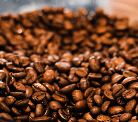 coffee beans background