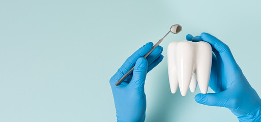 Health dental care concept. Dentist holds white healthy tooth model in his hands on a blue background. Teeth whitening, dental oral hygiene, teeth restoration, implant concept, dentist day. Copy space - Powered by Adobe