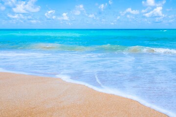beach and sea