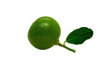 Juicy slice of lime isolated on png background
