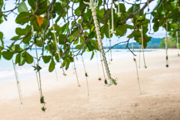 Wedding set up on the beach