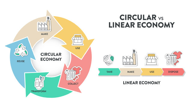 The vector infographic diagram of the difference between the circular economy and linear economy. Compare linear and circular infographics for presentations or banners for websites. Economy concepts.