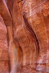 The Siq, wall texture, canyon of Petra, Jordan