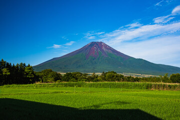 Fototapeta premium 夏富士と青い空