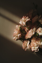 Pink carnation flowers bouquet on tan background with deep sunlight shadows. Flat lay, top view...