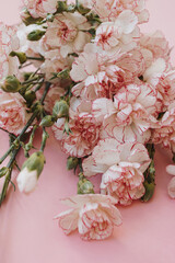Beautiful pink carnation flowers bouquet on pink background. Elegant floral composition