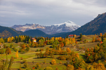 Autumn Season in the Savsat, Artvin Turkey