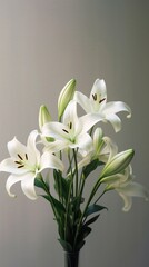 White lily flower copy space blurred background. AI Generated