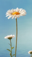 Fototapeta na wymiar Daisy flower copy space blurred background. AI Generated