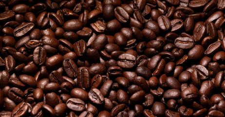 Roasted Coffee Beans Banner 