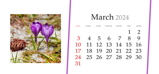 Set of horizontal flip calendars with amazing landscapes in minimal style. March 2024. Close up view of blooming crocus flowers. Splendid spring scene of first plants on the mountain glade. - obrazy, fototapety, plakaty