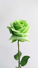 Green rose flower copy space blurred background. AI Generated