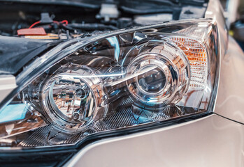 Fototapete bei efototapeten.de bestellen   