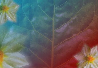 Colorful leaf texture background illustration art